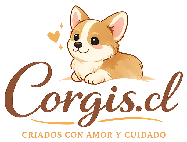 CORGIS logo